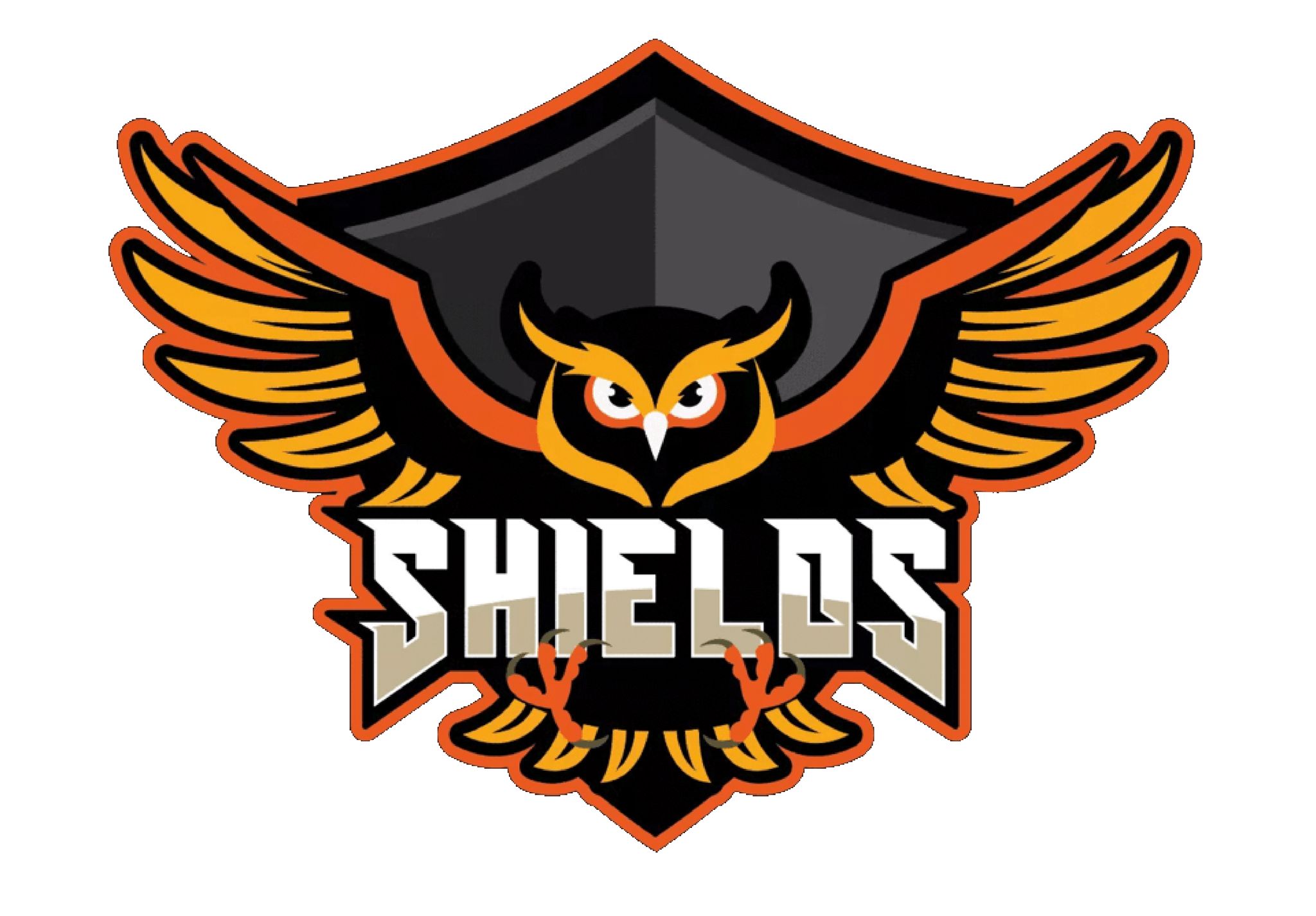 CTF SHIELDS